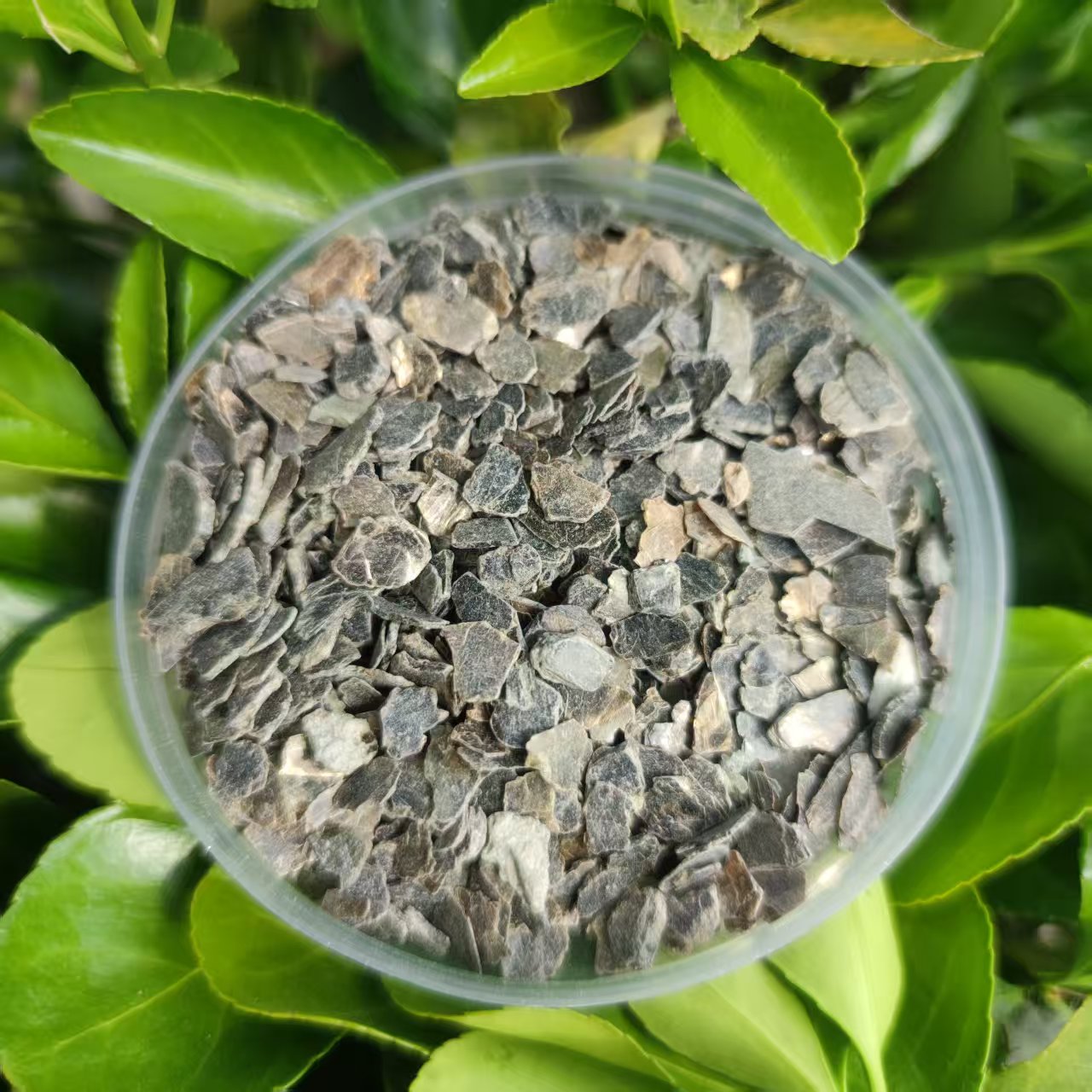 蛭石片 蛭石片